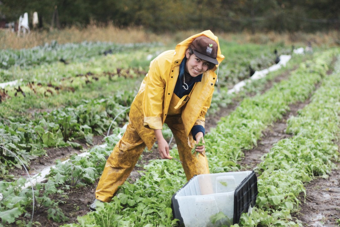 story3_photo2_Castelo